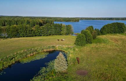 Dom Na Brzegu Ciszy - Foto 47