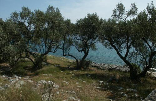 Secluded fisherman's cottage Krknata, Dugi otok - 888 - Foto 8