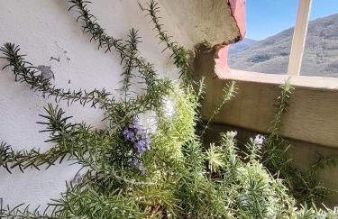 La casa colorata con vista - Foto 21