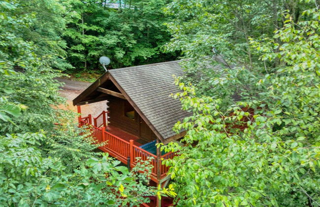 Mountain Laurel - Foto 36