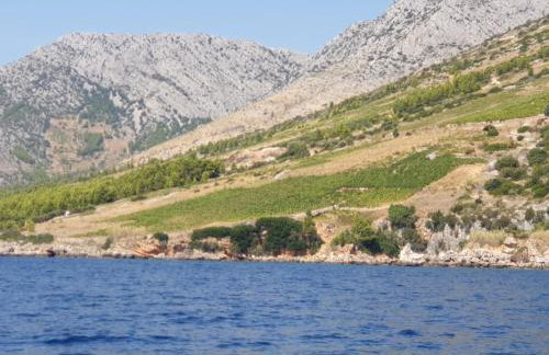 209 Zavala Ferienwohnung - Foto 66