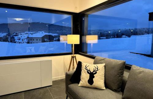 Les Terrasses du Noirmont 2 - Foto 32