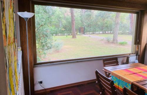 Vacanza nella Natura - Foto 8