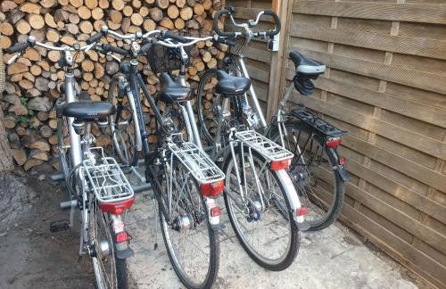 4 Sterne Ferienhaus "Vorwerk" - Foto 13