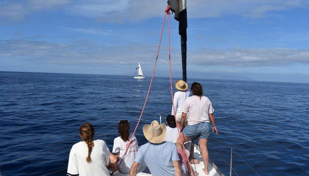 Admirez la vue depuis le voilier