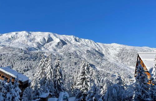 Superbe Appartement au Plateau Rond-Point des Pistes Classé 3 Etoiles et Label Méribel - Foto 13