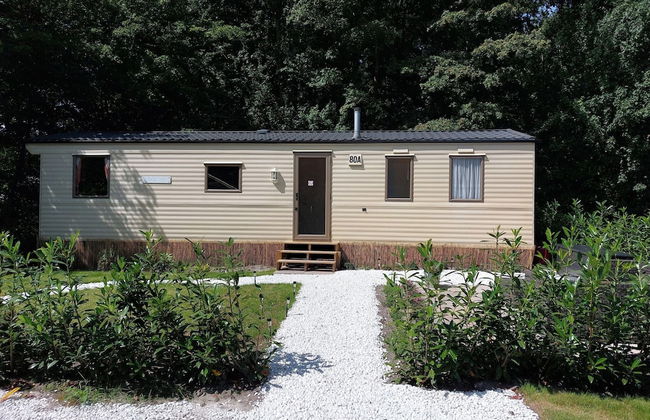 Chalet Near the Woods of Appelscha - Foto 1