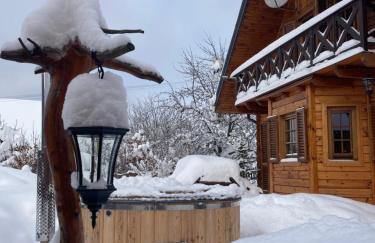 Przystanek Beskidy - Foto 26