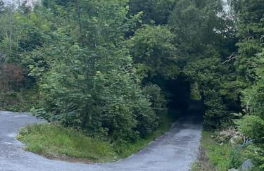 Adorable Victorian 1 bedroom annexe - Photo 22