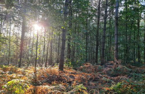 Modernised seven bedroom country house and garden with hot tub - Foto 51