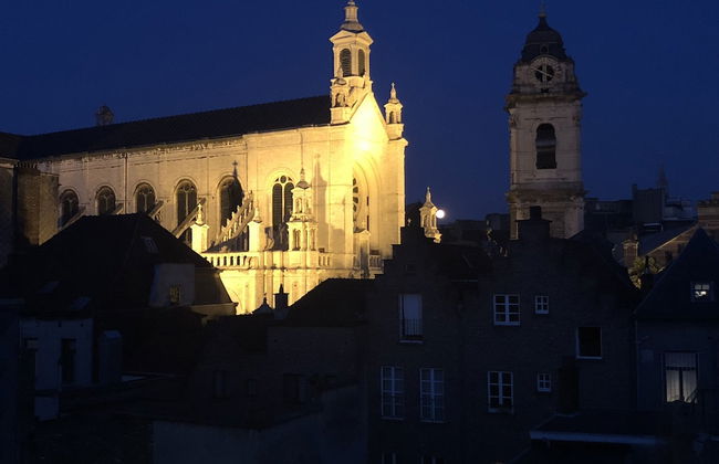 Exclusive Flats Sainte-Catherine Terrace - Photo 17