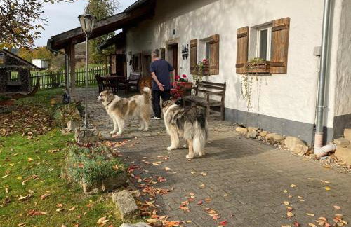 Ferienhaus Winter - Foto 12