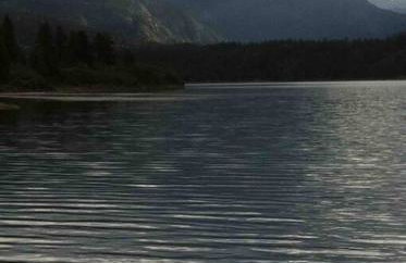 Secluded Mtn home by Purg, Hot Tub, Views! Pets ok - Foto 51