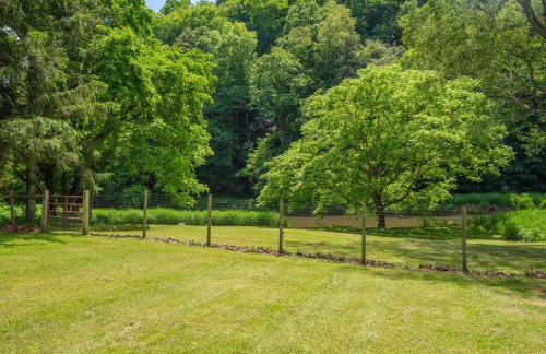 Cabin on the New River with Easy Steps to the River,Hot Tub, Fire Pit - Photo 28