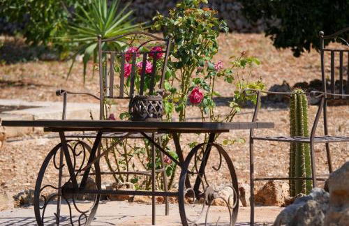 Finca Fonoll - Foto 35