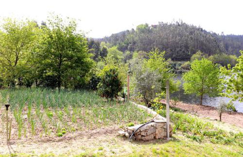 Casa do Vouga - Foto 33