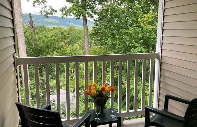 Vacation Village in the Berkshires - Foto 31