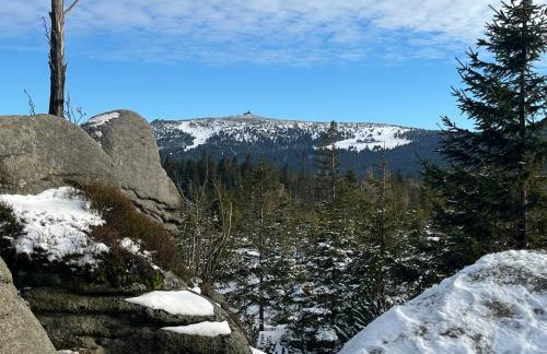 Apartament 209 Kras Resort Spa - Foto 21