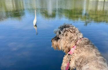 Stay Inspired | Cozy Artist Loft, Walkable & Artsy - Foto 24