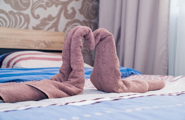 Sofia Central Luxury Apartment - Foto 5