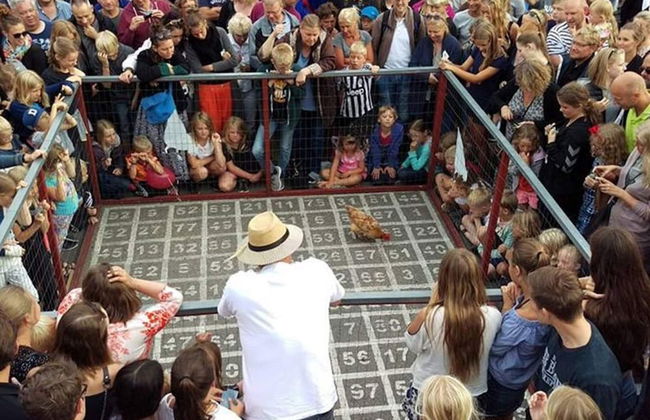 6 Person Holiday Home in Svaneke - Foto 15