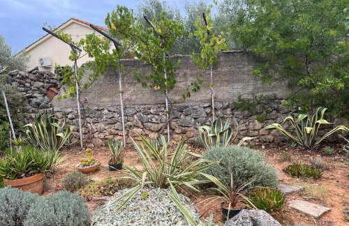 Apartman Ruža - Photo 56