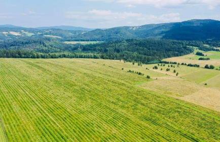 Apartament Różane Wzgórze - Foto 52