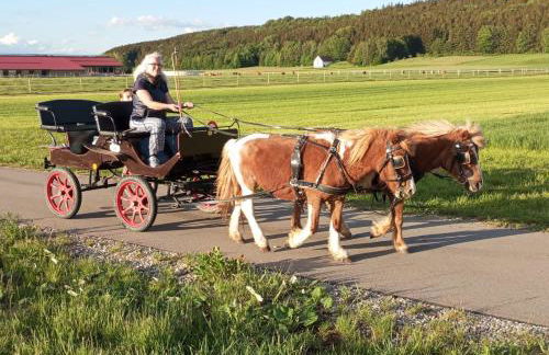 Fischer Ranch - Foto 13