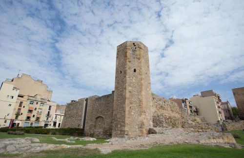 Circ Romà - Foto 33