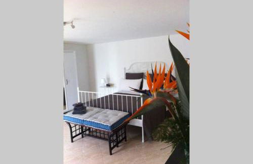 Villa la Rina - Foto 26