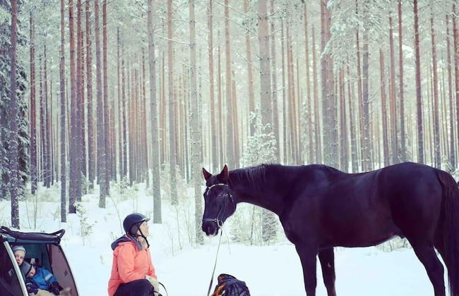 Charming 6 Bedroom House & Horse Farm - Sleeps 12 - Foto 36