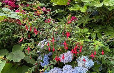 Kynance Cottage - Pendour - Foto 34