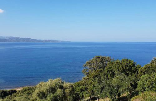 CASA MARINE DU SOLEIL 60 - Foto 25