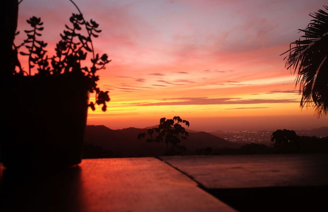 Sol de minca - Photo 62