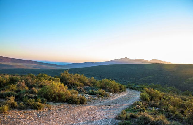 Melozhori Game Reserve - Foto 8