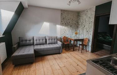 Szczytny Zakątek Apartamenty - Foto 17