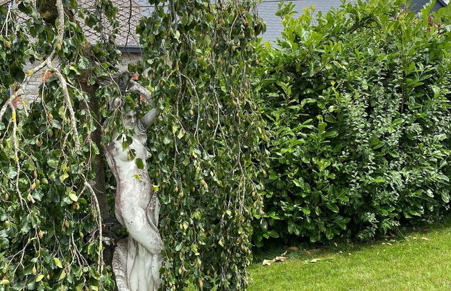 Elegant Hillside Mansion - Photo 35