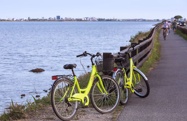 Agriturismo Ai Due Leoni - Foto 45