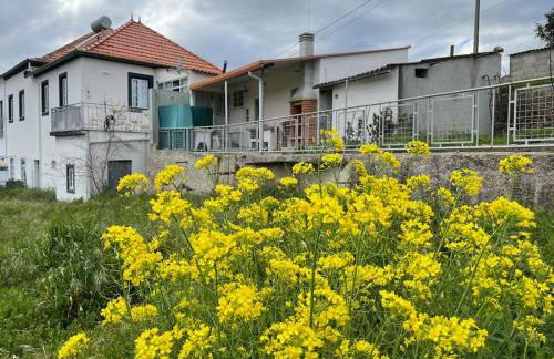 Casa da Celeste - Foto 54