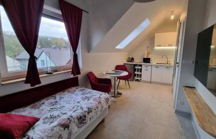 Apartament Strumyk - Foto 14