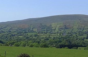 Butterflies Rest - Foto 38