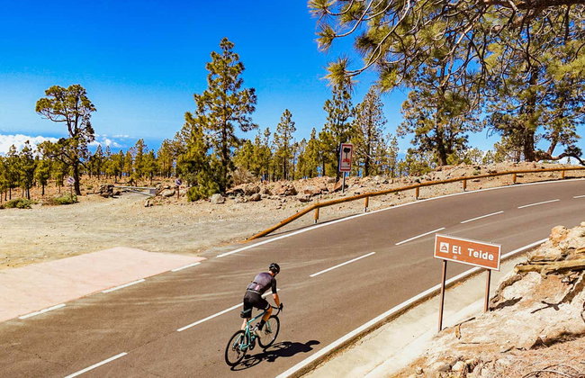 Teide Volcano Bike Tour - Photo 3