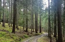 Dom w górach Zacisze lasu - Foto 38