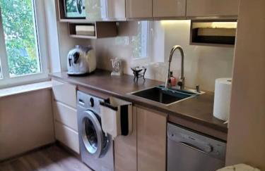 Apt 90m2, 8 os, 2 salony, 2 sypialnie, centrum - Photo 21