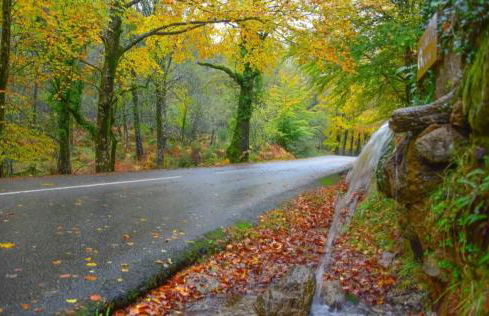 Casas De Bouro 2 Casa Dos Jarros - Foto 42