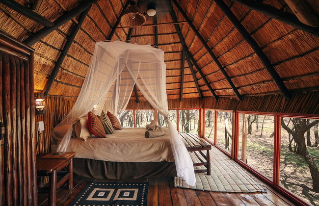 Pezulu Tree House Lodge - Foto 15