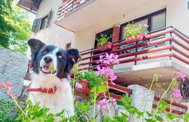 Apartments with balcony and with large free parking House Oliver - Foto 24