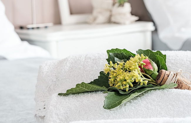 Villa Curte Nicia - Foto 13