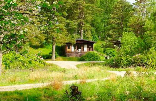 Solstice Cabin - Photo 1