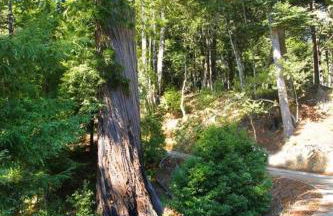 Serene Coastal Retreat Clark's Cove - Foto 48